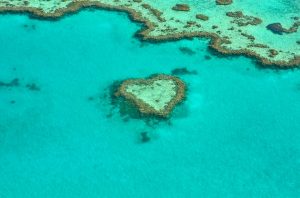 Great Barrier Reef rondreis Australië