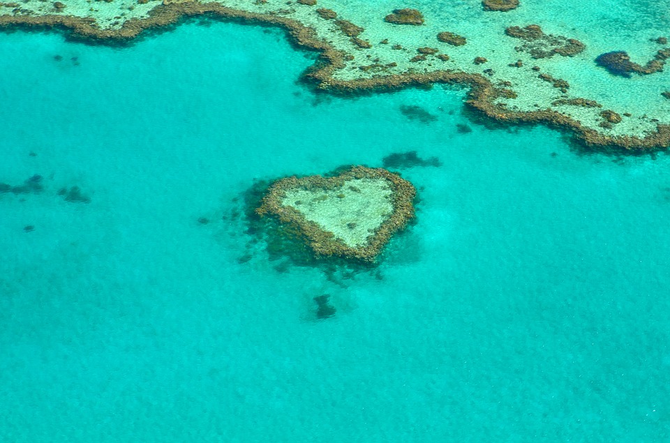 Great Barrier Reef rondreis Australië